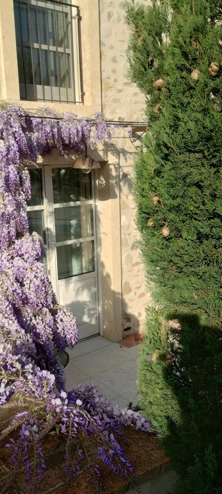 Relais Ca' Morenica ヴァレッジョ・スル・ミンチョ エクステリア 写真
